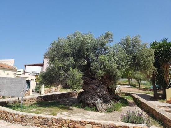 Margarita's Farm, Private Pool